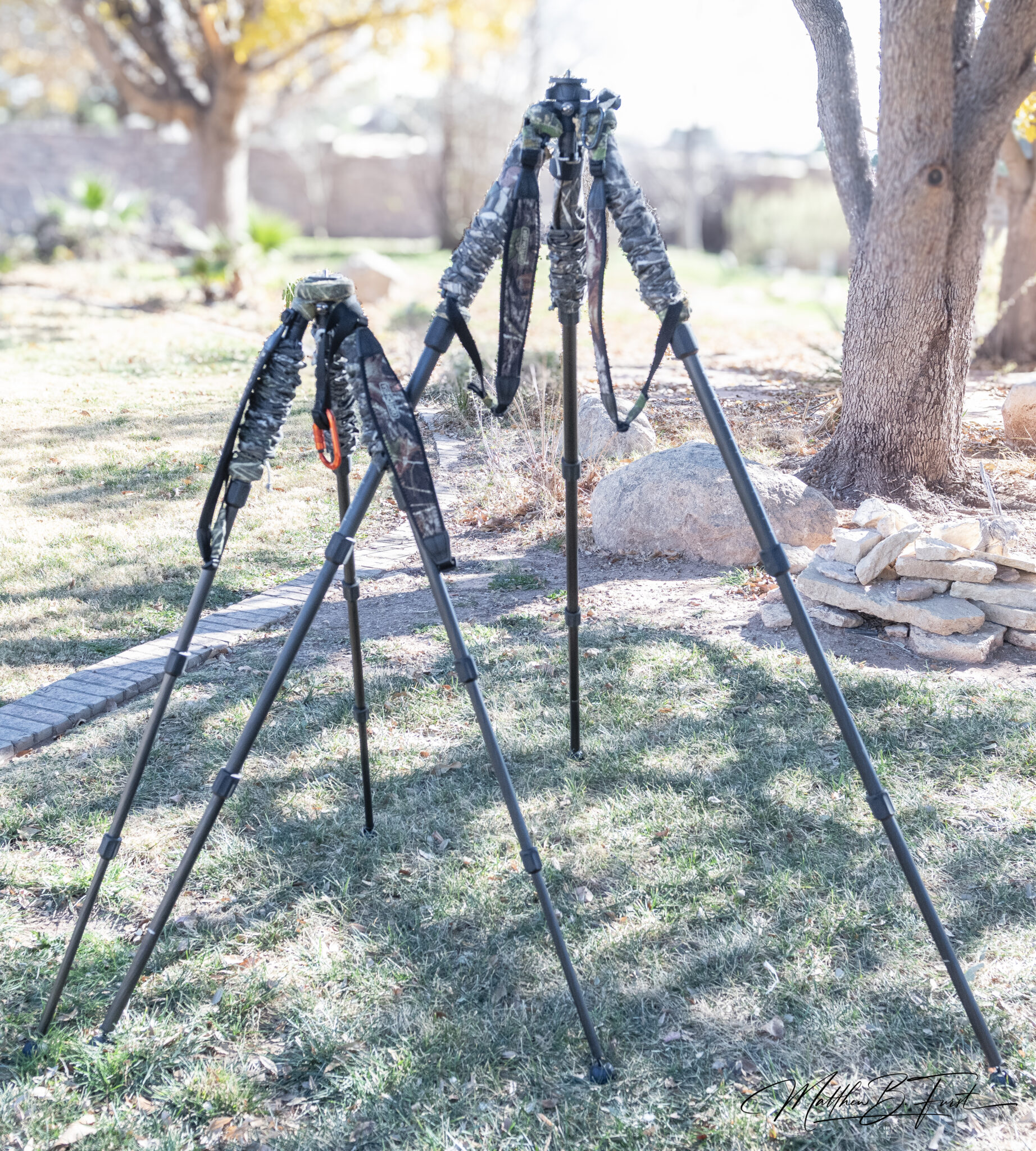 Monopods vs. Tripods: A Comprehensive Guide for Beginning Wildlife ...