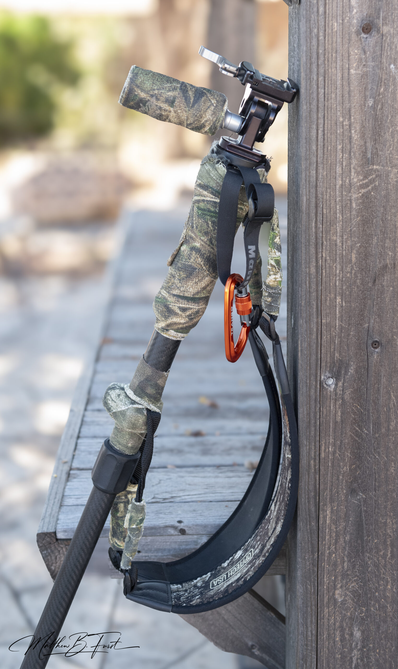 Monopods vs. Tripods: A Comprehensive Guide for Beginning Wildlife ...