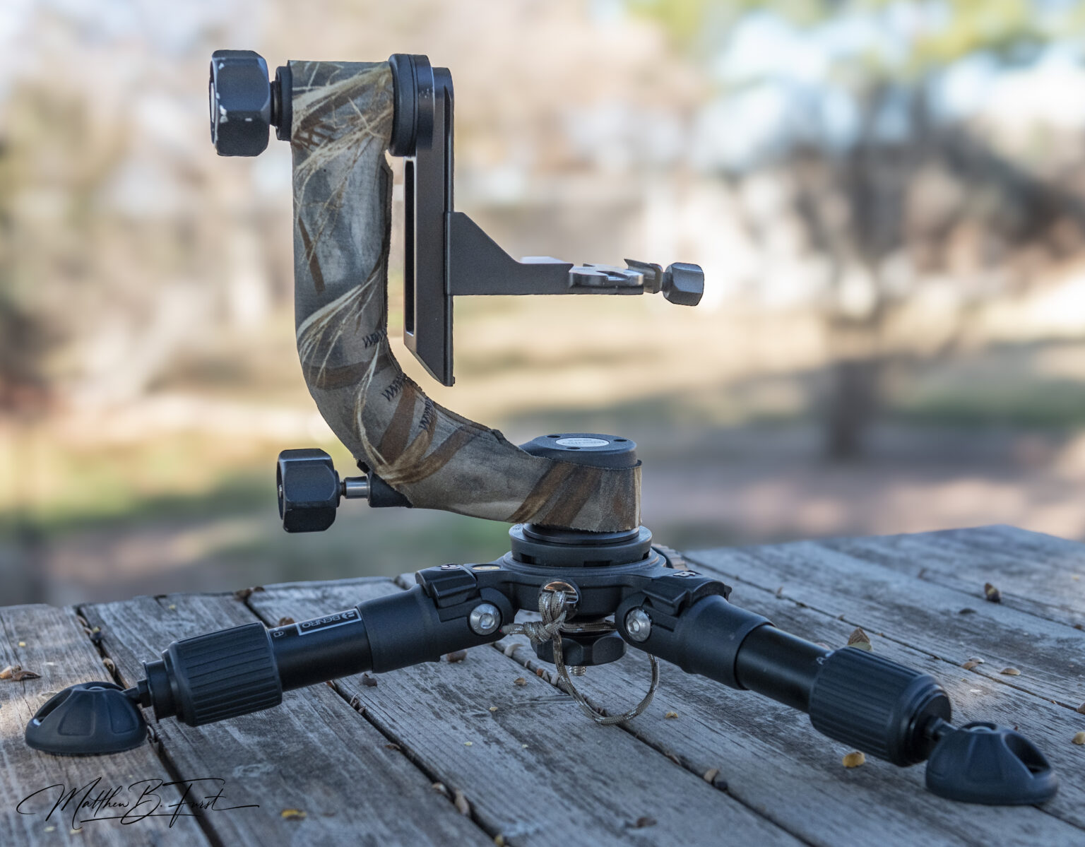 Monopods vs. Tripods: A Comprehensive Guide for Beginning Wildlife ...